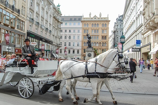 mariahilfer strasse horses