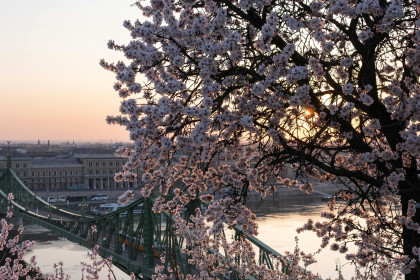 Budapest Rental Market Overview - Spring Season