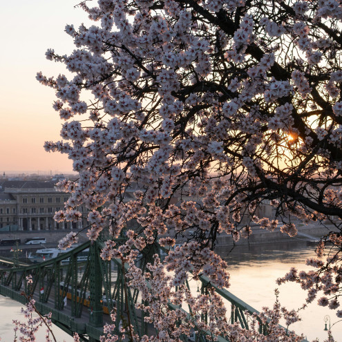 Budapest Rental Market Overview - Spring Season