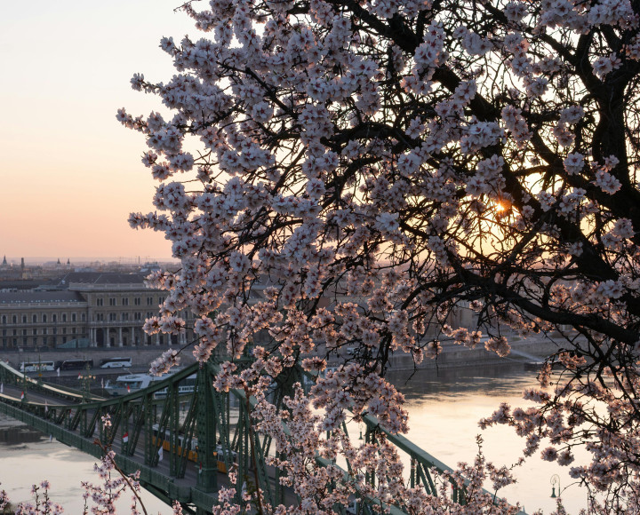 Budapest Rental Market Overview - Spring Season