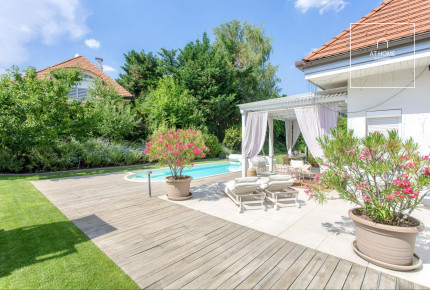 Luxury family house with pool for rent in Budapest, District XI, Madárhegy.