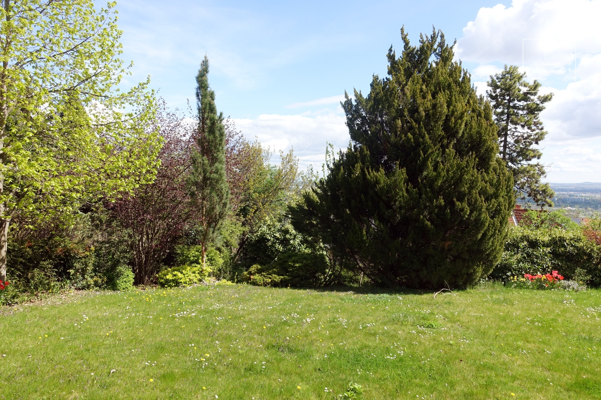 Panorámás családi ház Testvérhegy egyik legszebb részén, III. kerület, Budapest