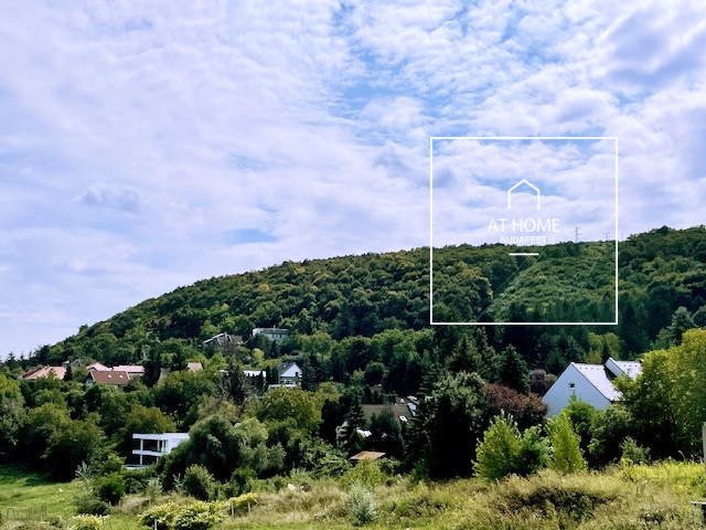 Newly built, garden-connected panoramic detached house for sale in the 2/A district of Budapest, Budaliget