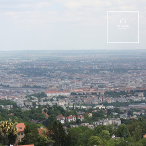 Panoramic 2,984 sqm plot for sale in District XII, Széchenyihegy