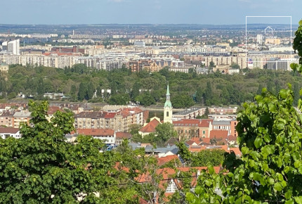 Felújított gyönyörű ikerház kiadó a II. kerületben