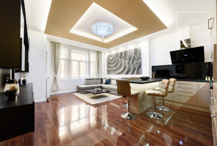 Exclusive apartment for rent Budapest VII. district