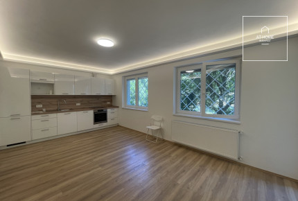 Premium refurbished apartment for rent in District XII, Budapest, Svábhegy