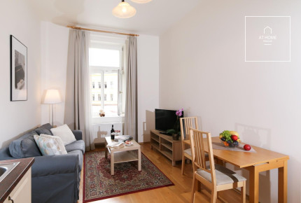 Nice apartment, fully furnished, Moravská, Vinohrady