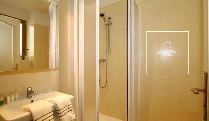 Příjemný byt 1+1 byt po rekonstrukci , Máchova