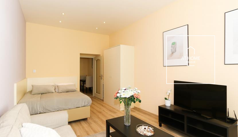 Fully furnished studio, Máchova