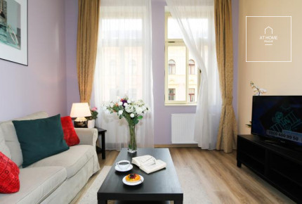 Příjemný byt 1+1 byt po rekonstrukci, Máchova