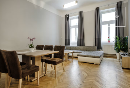 Modern downtown apartment with 2 bedrooms in District VI