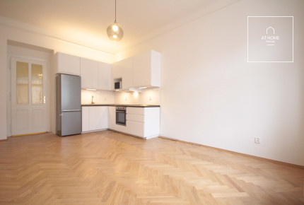 Nice one bedroom apartment, Kubelíkova, Žižkov