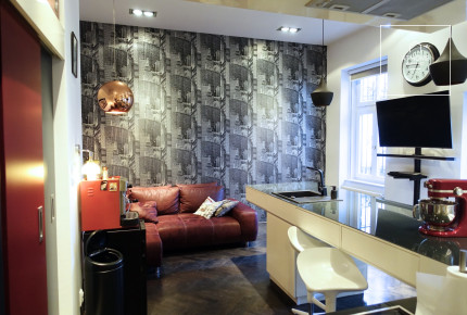 2 bedroom luxury apartment for rent in the Downtown