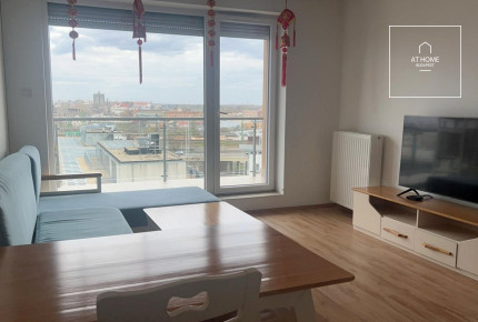 Napfényes 63 nm-es erkélyes lakás kiadó a IX. kerületben