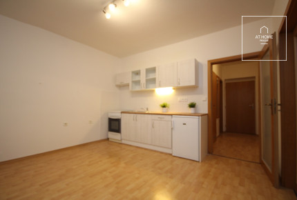Cozy apartment for rent, Prague 5 -  Radotín