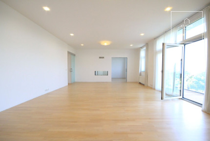 Unfurnished (furnishing possible), 4-bedroom apartment with terrace, Chopinova, Vinohrady