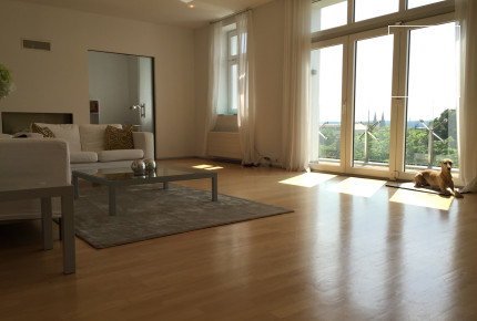 Unfurnished (furnishing possible), 5-bedroom apartment with terrace, Chopinova, Vinohrady