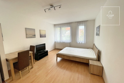 Sunny studio apartment for rent near the University of Veterinary Medicine